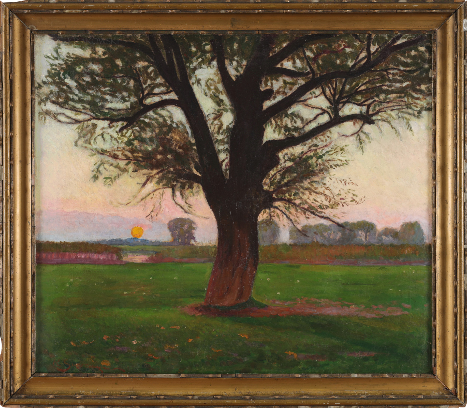 ŚWIECIMSKI Kazimierz