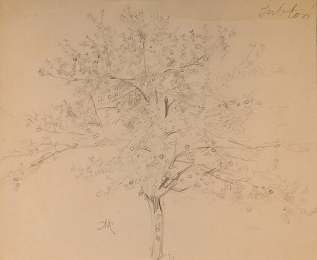 HOFMAN Wlastimil