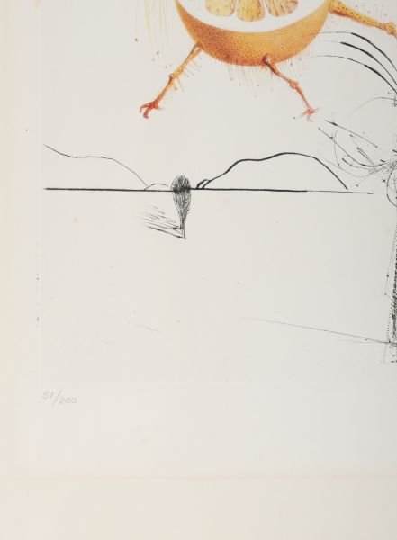 Salvador Dali, Pamplemousse Érotique (fragment)