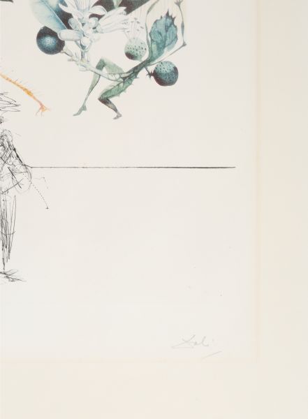 Salvador Dali, Pamplemousse Érotique (fragment)
